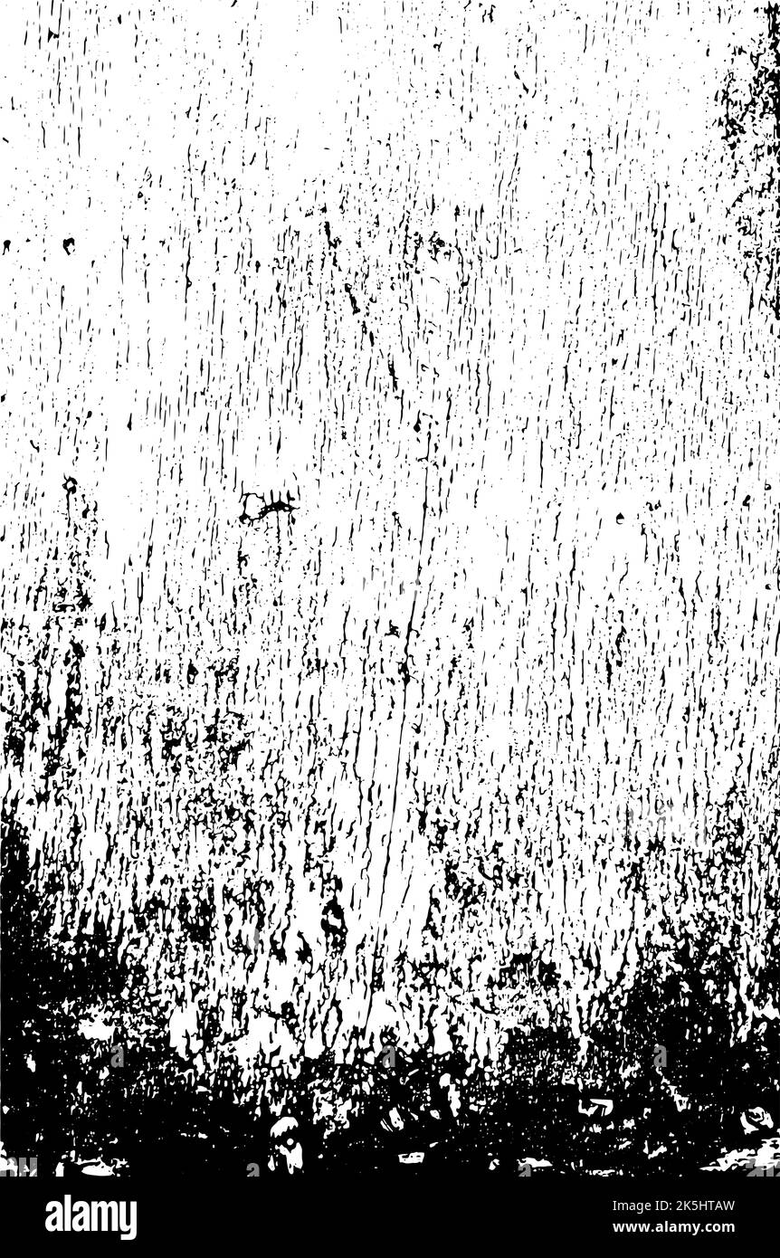 Grunge zerkratzter Holzhintergrund in schwarz-weißen Farben. Rauer, vernarbter Hintergrund mit leerem Raum. Überzug Textur von altem Holz. Distress-Effekt für Stock Vektor