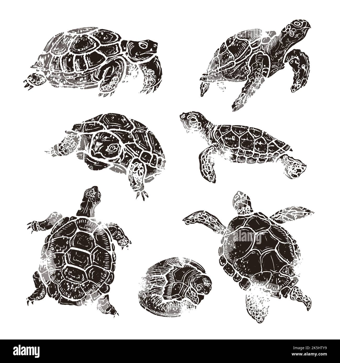 Große Reihe von Schildkröten verschiedener Arten im Linolschnitt-Retro-Stil, Vintage-Silhouetten von Schildkröten isoliert auf Weiß Stock Vektor