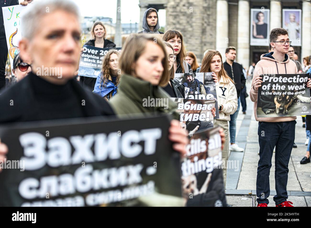 Warschau, Polen, USA. 8. Oktober 2022. Studenten, Einheimische, Immigranten, eingebürgerte iranisch-polnische Bürger in Warschau kamen zusammen, um gegen den Iran und die größeren Unruhen zu protestieren, die durch den Tod von Mahsa Amini, einer 22-jährigen Kurdin, ausgelöst wurden, die nach der Verhaftung durch die Moralpolizei am 13. September in Teheran ins Koma fiel. Sie verletzte angeblich das Gesetz, wonach Frauen ihre Haare mit einem Hijab, traditionell als Kopftuch bekannt, bedecken sollten. Drei Tage später starb sie im Krankenhaus an Verletzungen. (Bild: © Bianca Otero/ZUMA Press Wire) Stockfoto