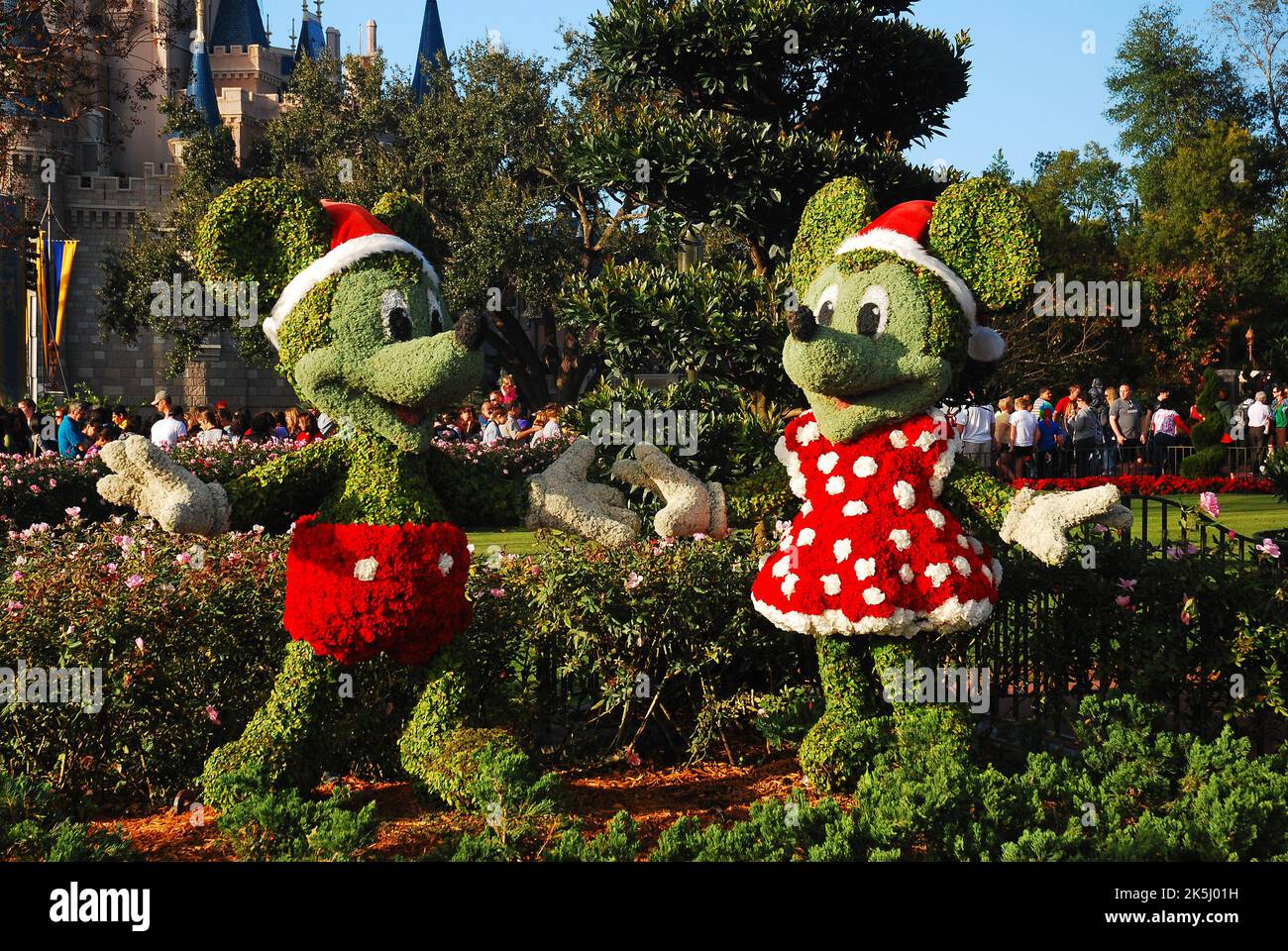 Büsche und Sträucher werden geschnitten und als Mickey Mouse und Minnie Mouse entworfen, die während der Weihnachtsfeiertage in Walt Disney World gekleidet sind Stockfoto
