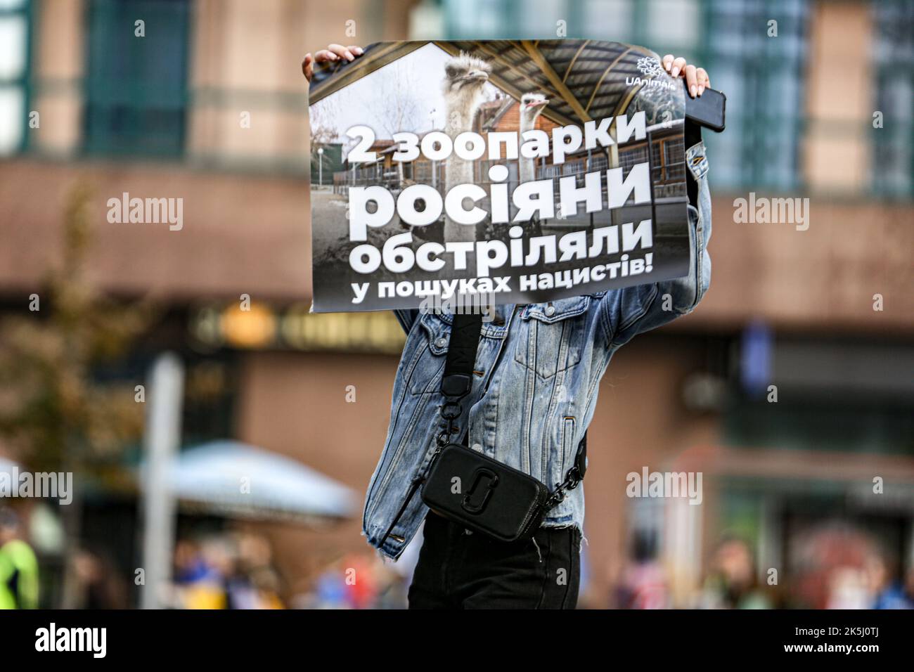 Warschau, Polen, USA. 8. Oktober 2022. Studenten, Einheimische, Immigranten, eingebürgerte iranisch-polnische Bürger in Warschau kamen zusammen, um gegen den Iran und die größeren Unruhen zu protestieren, die durch den Tod von Mahsa Amini, einer 22-jährigen Kurdin, ausgelöst wurden, die nach der Verhaftung durch die Moralpolizei am 13. September in Teheran ins Koma fiel. Sie verletzte angeblich das Gesetz, wonach Frauen ihre Haare mit einem Hijab, traditionell als Kopftuch bekannt, bedecken sollten. Drei Tage später starb sie im Krankenhaus an Verletzungen. (Bild: © Bianca Otero/ZUMA Press Wire) Stockfoto