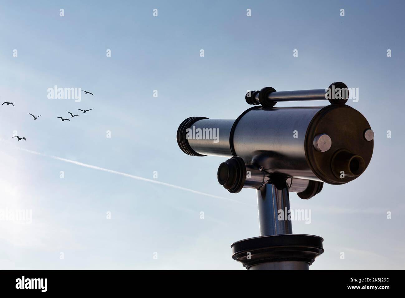 Teleskop zeigt auf blauen Himmel mit Vogelscharen, symbolisches Bild Hobby Vogelbeobachtung, Naturbeobachtung Stockfoto