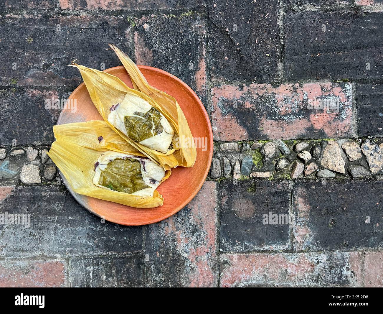 Zwei Oaxacan-Tamales auf einem Tonteller, der mit Hoja santa hergestellt und mit Bohnen gefüllt wurde Stockfoto