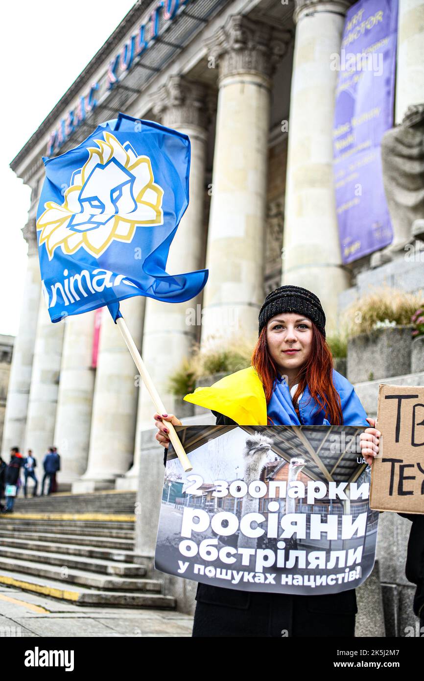 Warschau, Polen, USA. 8. Oktober 2022. Studenten, Einheimische, Immigranten, eingebürgerte iranisch-polnische Bürger in Warschau kamen zusammen, um gegen den Iran und die größeren Unruhen zu protestieren, die durch den Tod von Mahsa Amini, einer 22-jährigen Kurdin, ausgelöst wurden, die nach der Verhaftung durch die Moralpolizei am 13. September in Teheran ins Koma fiel. Sie verletzte angeblich das Gesetz, wonach Frauen ihre Haare mit einem Hijab, traditionell als Kopftuch bekannt, bedecken sollten. Drei Tage später starb sie im Krankenhaus an Verletzungen. (Bild: © Bianca Otero/ZUMA Press Wire) Stockfoto