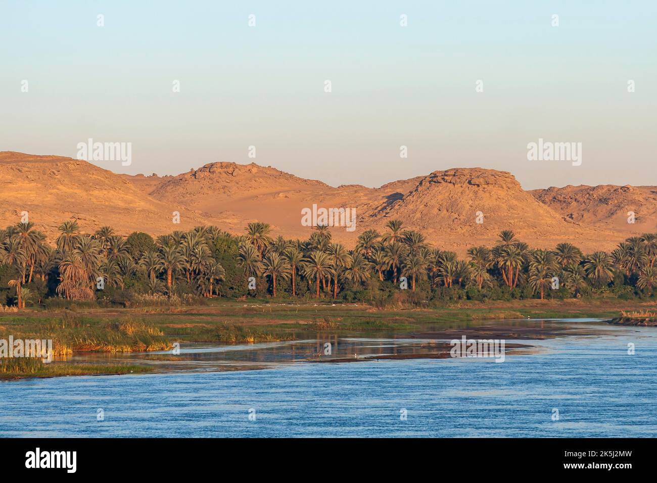 Landschaft am Nil, Nilufer, Morgenlicht, Ägypten Stockfoto