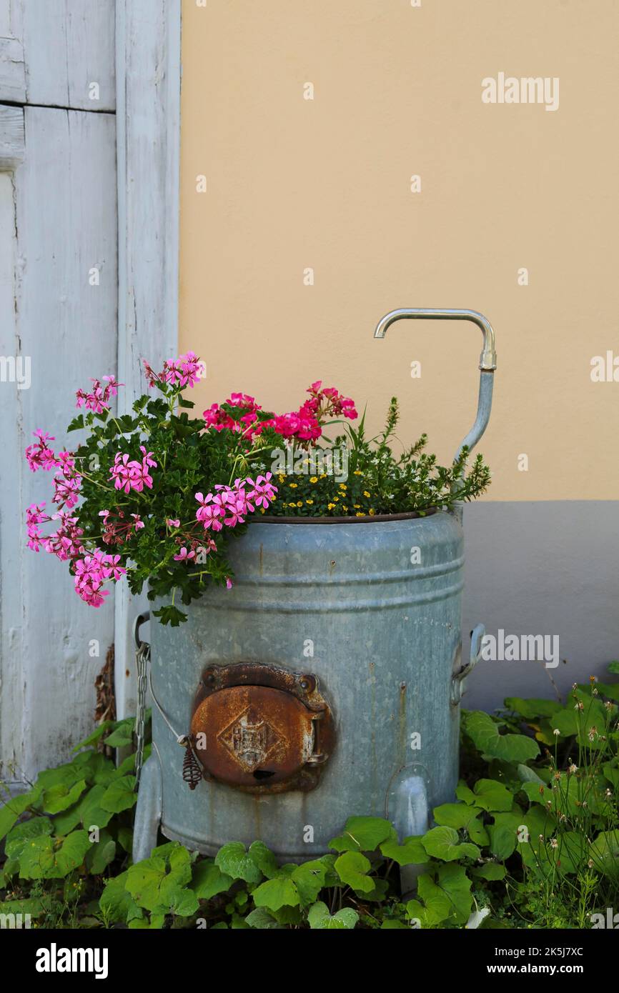 Gruener Hof, Heimatmuseum, historische Zinkwanne, Waschtrog mit Pflanzen, Cranesbill (Geranium), lustige Pflanzentrog mit Wasserhahn, Stillleben Stockfoto