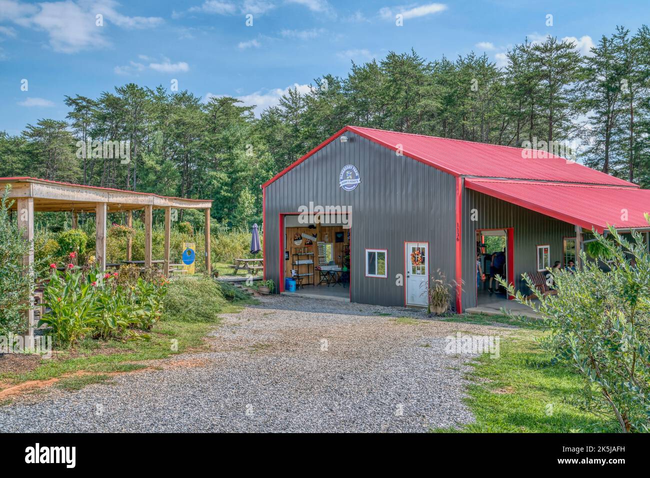 Perry’s Berry’s Blueberry Farm in Morganton, North Carolina. Stockfoto