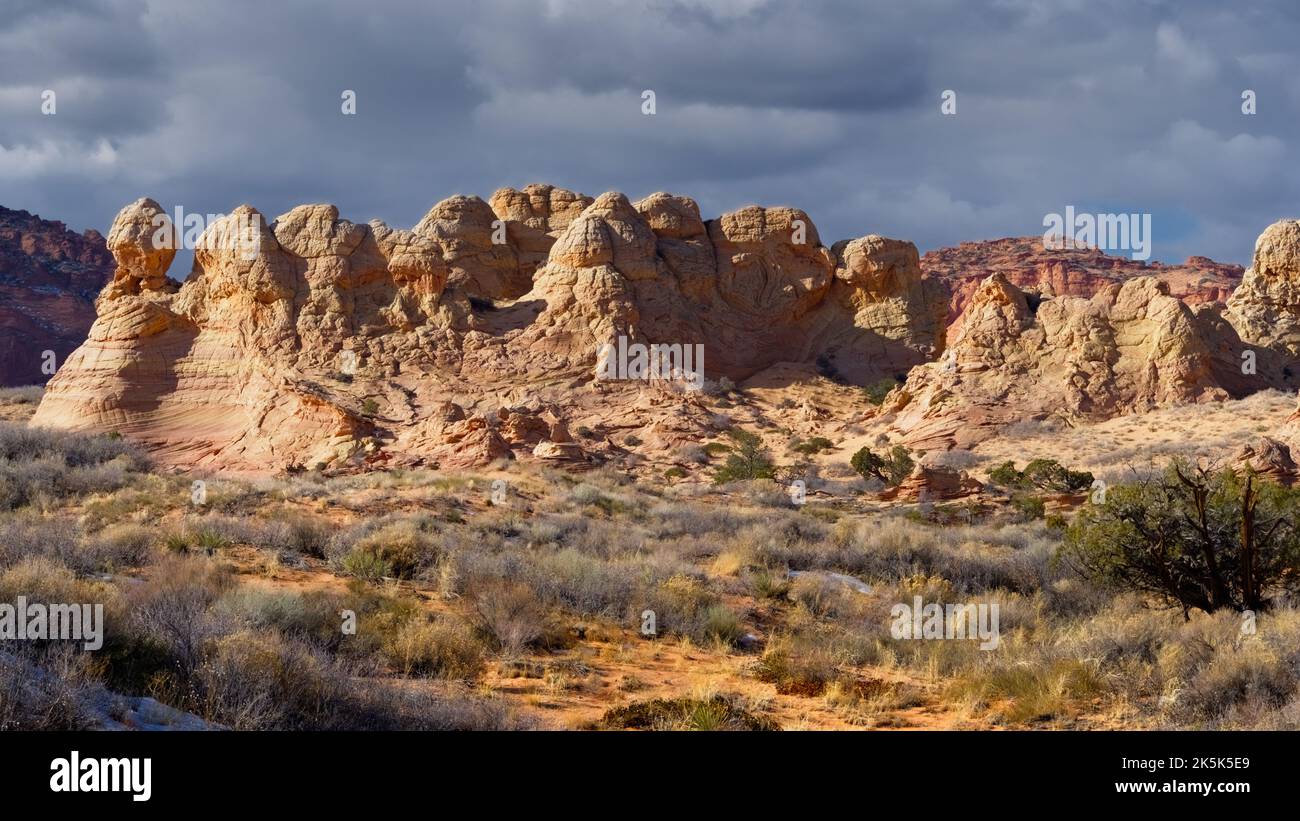 Rote Sandsteinfelsen in den Coyote-Hintern im Süden. Stockfoto