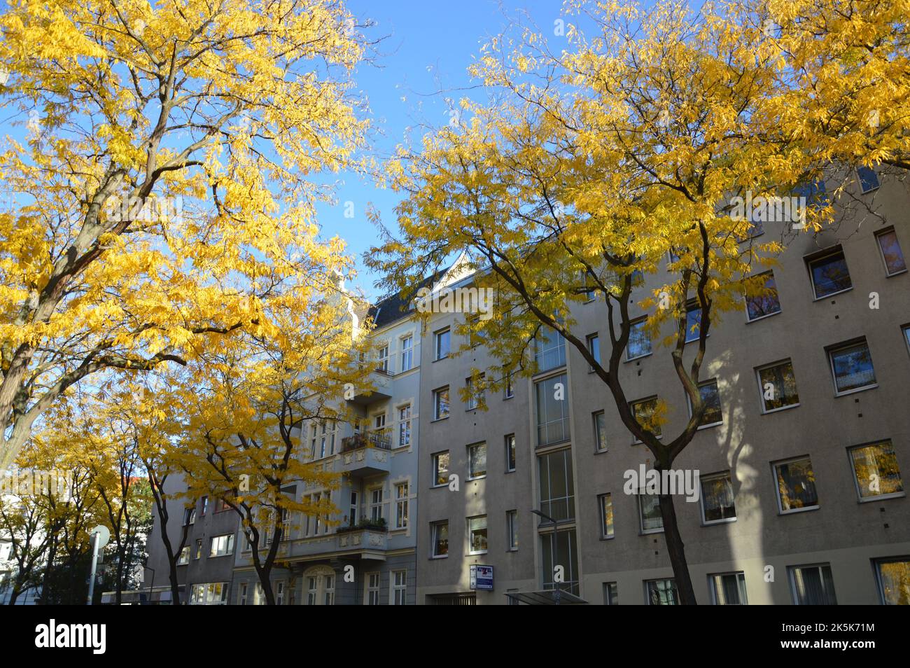 Berlin, Deutschland - 6. Oktober 2022 - Herbst in der Feuerbachstraße in Steglitz. (Markku Rainer Peltonen) Stockfoto