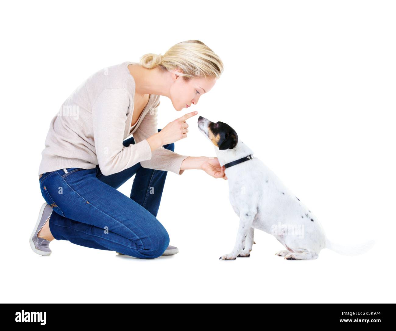 Versuchen Sie, sich jetzt zu benehmen ... Eine wunderschöne junge Frau schimpft ihren Hund. Stockfoto