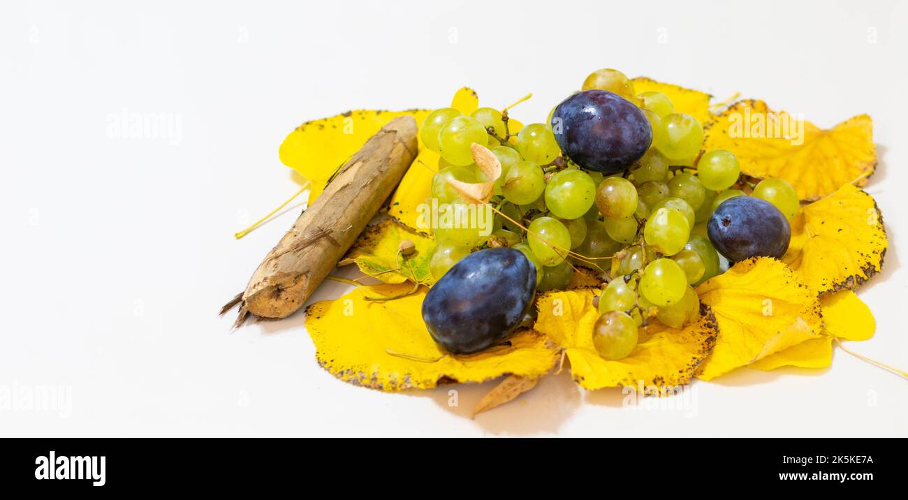 Im Herbst werden die Früchte geerntet, die Früchte speziell für diese Saison Stockfoto