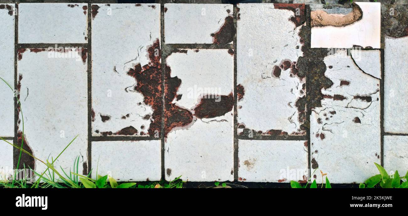 Alte Marmorfliesen oder -Böden und grüne Pflanzen in Gartendekoration Stockfoto