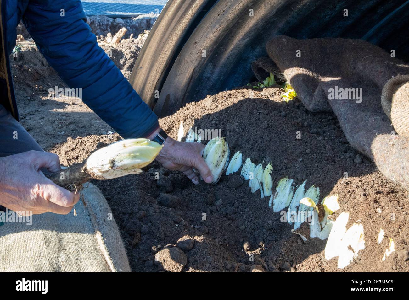 Brüssel lof -Fotos und -Bildmaterial in hoher Auflösung – Alamy