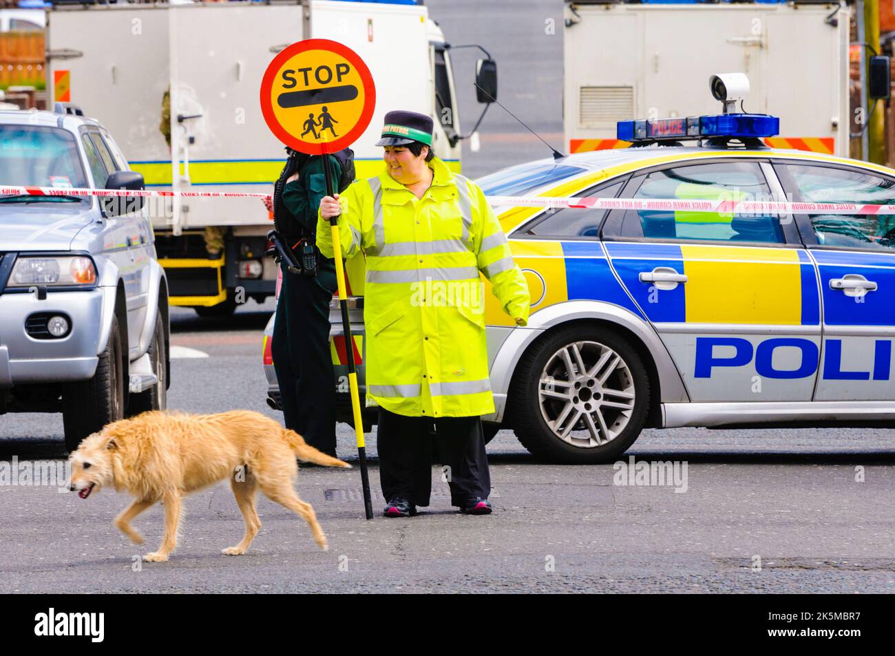 Belfast, Großbritannien. 05/04/2012 - Während eines Sicherheitsalarms in Ardoyne Überquert Ein Hund die Straße an einem bemannten Podesterübergang. Das Objekt wurde später zum Schwindel erklärt. Stockfoto