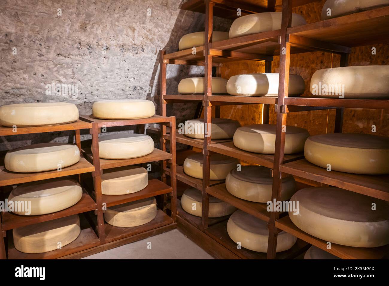 Viele Käse auf Regalen in einem Veredelungskeller in einer Molkerei. Käseproduktion und Reifung. Hochwertige Fotos Stockfoto