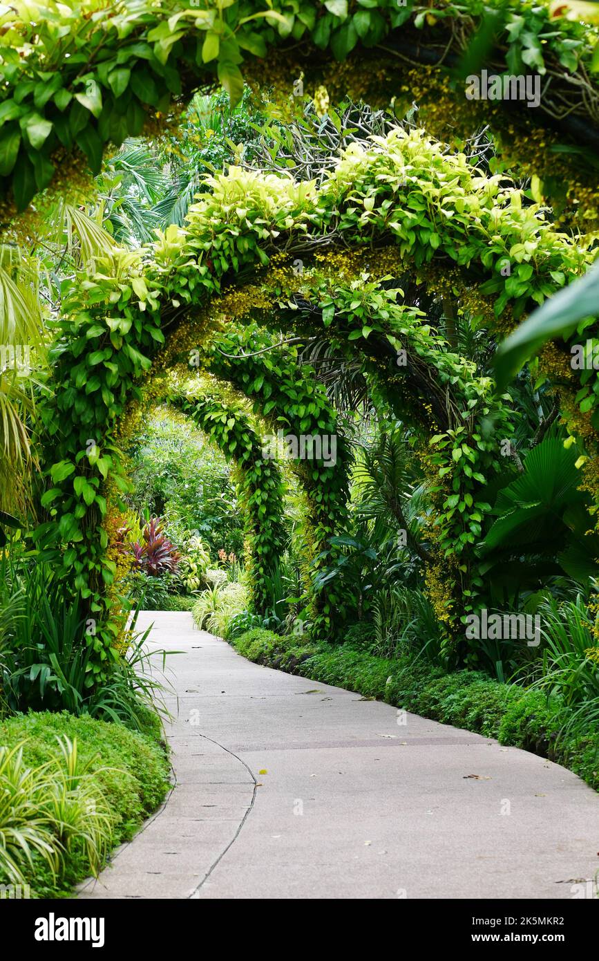 Singapur, 11. juni 2022. Gartenallee nationaler Orchideengarten singapur Stockfoto