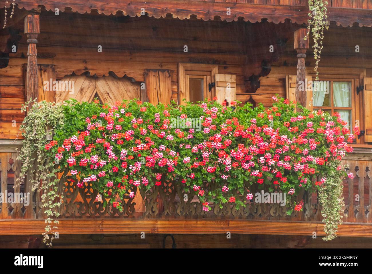 Blumen auf dem Balkon der Häuser in Österreich Stockfoto