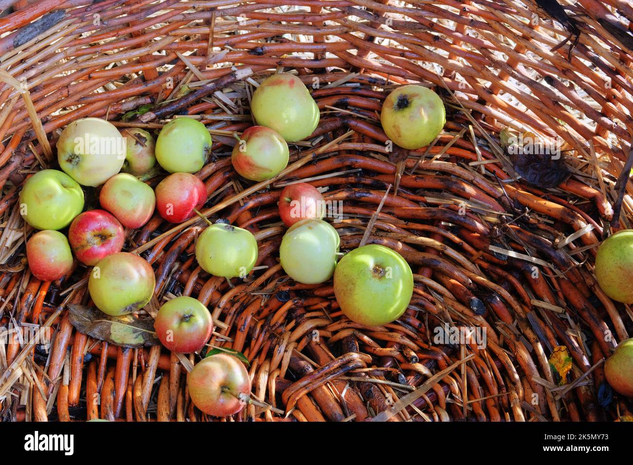 Süße Äpfel in einem Weidenkorb. Farm Ernte und ländlichen Stil. Stockfoto