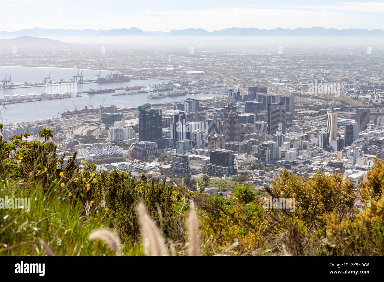 Cape Town Spring, Early Ocober 2022. Stockfoto