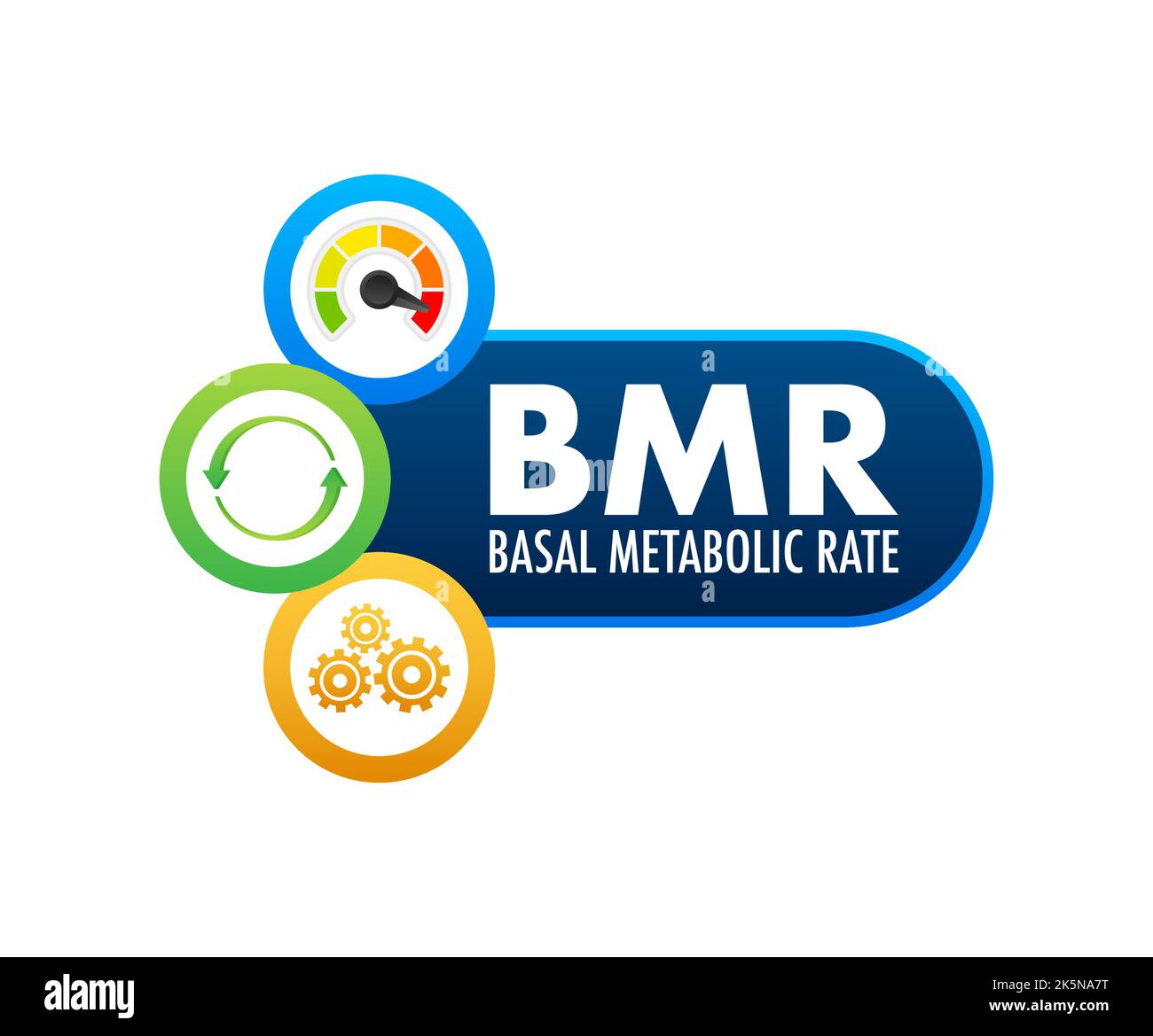 BMR - Basal Metabolic Rate Akronym. Vektorgrafik. Stock Vektor