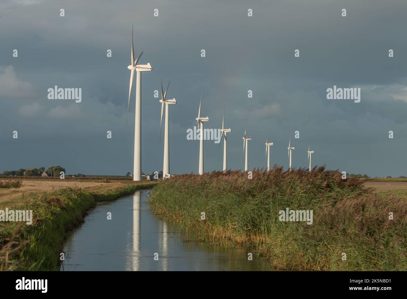 Eine Reihe von Windkraftanlagen auf landwirtschaftlichem Gelände in der Nähe der Küste. Niederlande. 2022 Stockfoto