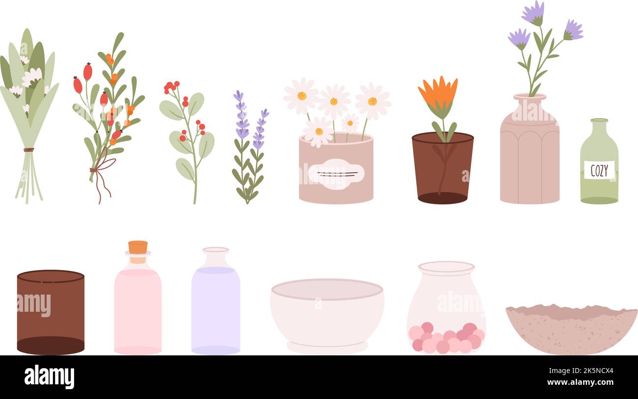 Heilkräuter, Blumen in Vasen und Gläsern, leere Flaschen und Schüsseln. Gemütliche Wohnkollektion, Einrichtung und Geschirr. Kamille und Lavendel, Kräuter Stock Vektor