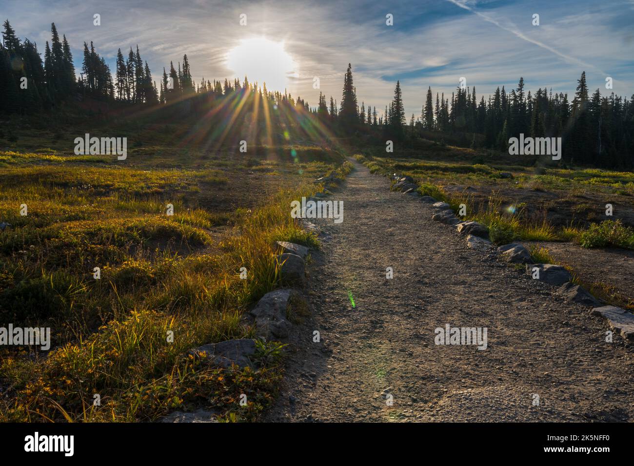 Blick auf den Trail im Mt Rainier National Park Stockfoto