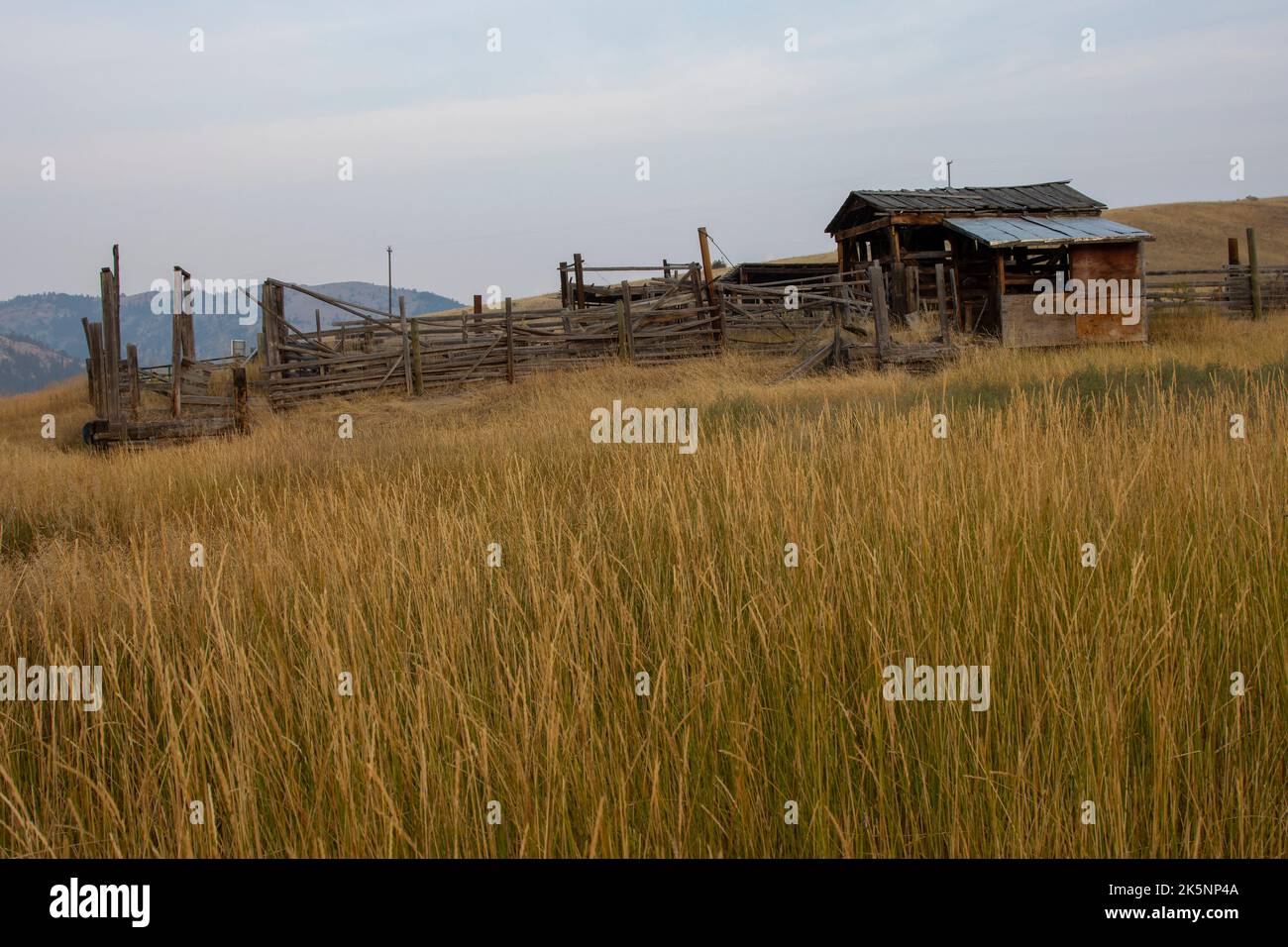 Ein verlassenes Gebäude im ländlichen Montana Stockfoto