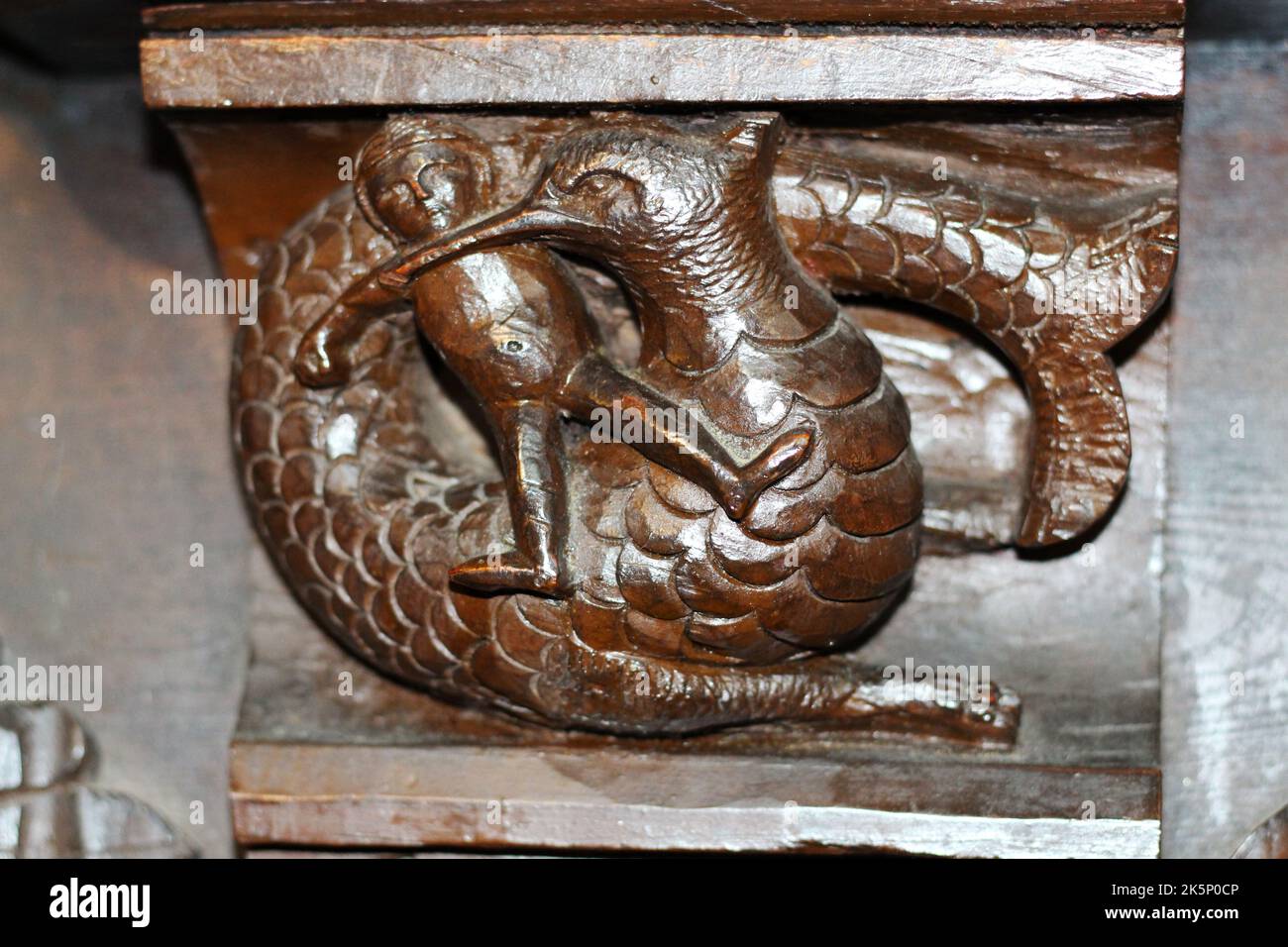 Skurriles Misericord in Great Malvern Priory, Great Malvern, Worcestershire Stockfoto