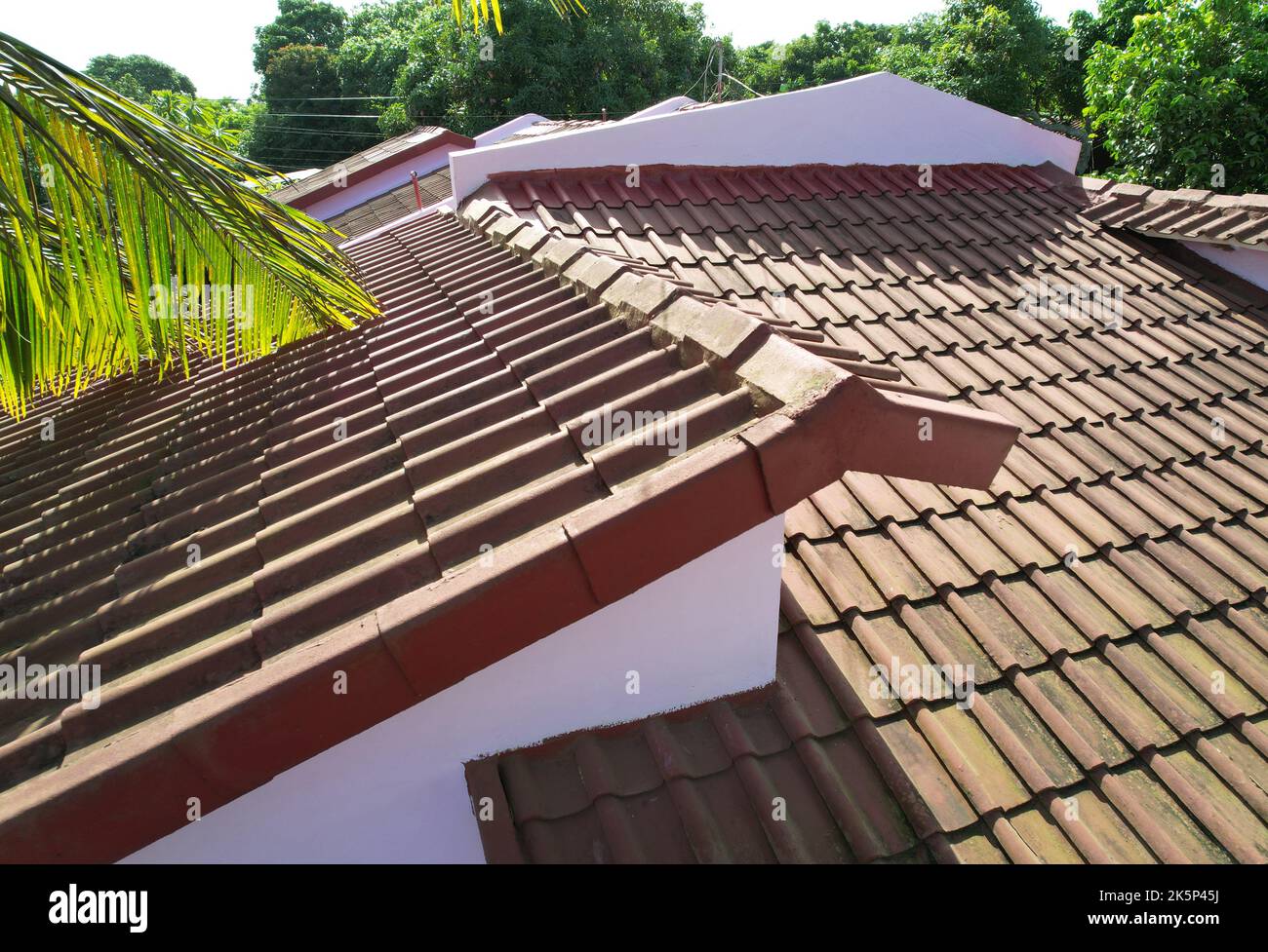 Rote Dachziegel auf dem Haus mit dem Zweig der Palme Stockfoto