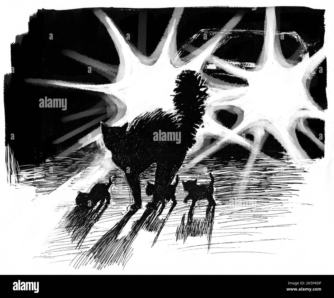 Eine Katze mit kleinen Kätzchen überquert die Straße, silhouettiert von den Lichtern eines entgegenkommenden Autos. Es ist Nacht und der Fahrer hat keine Zeit zum Bremsen. Stockfoto