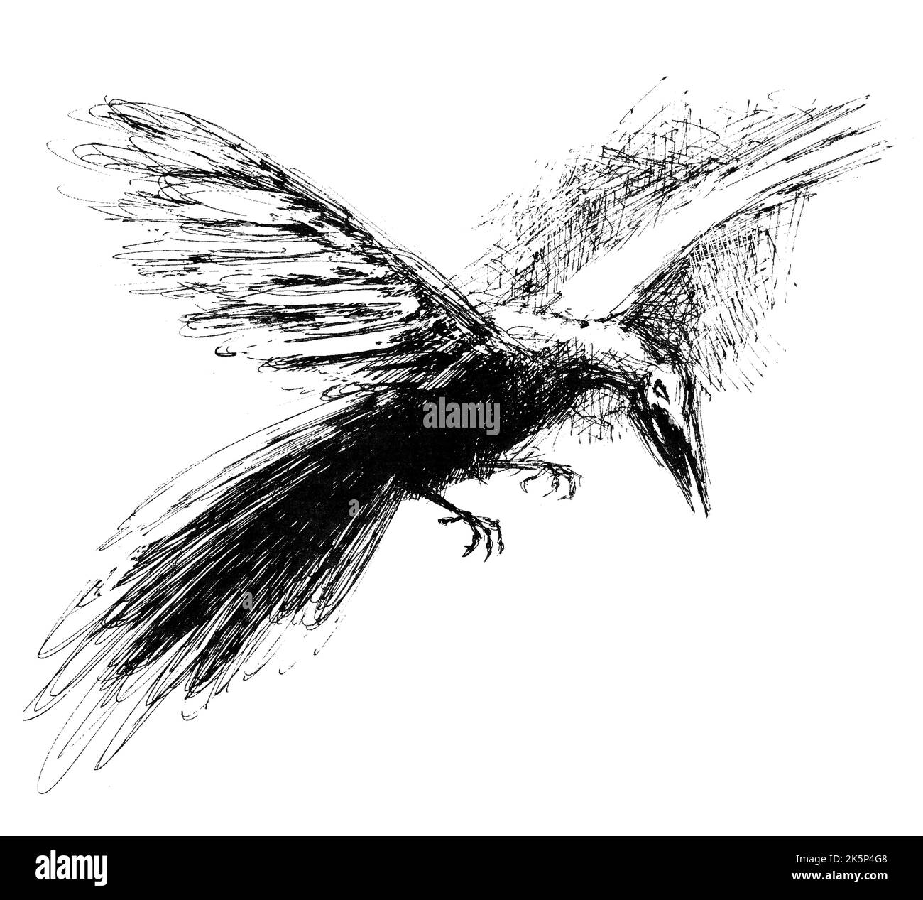 Phoenix - der mythische feurige Vogel, der aus der Asche wiedergeboren wurde. Schwarz-weiß ausdrucksstarke Illustration mit einer Feder. Stockfoto