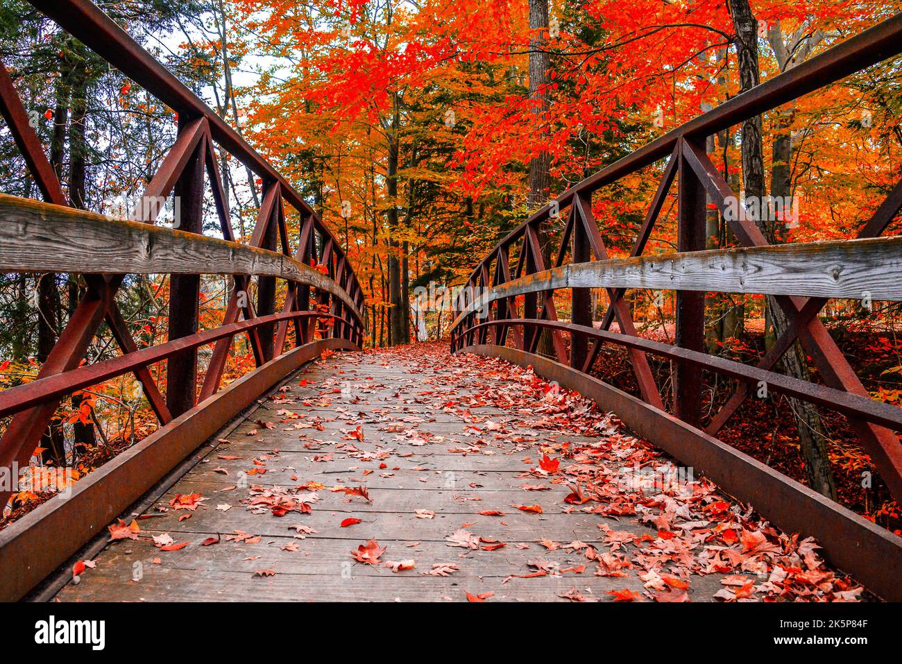 Herbst in Neuengland Stockfoto