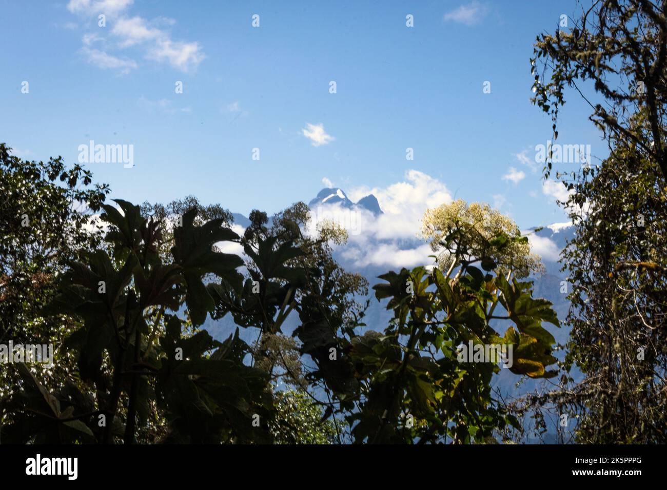 Tag 3 des Inca Trail - dieser Tag bot dem Wanderer eine wohlverdiente Fülle an Ansichten und Ausblicken - die perfekte Einstellung für den 4.. Und letzten Tag. Stockfoto