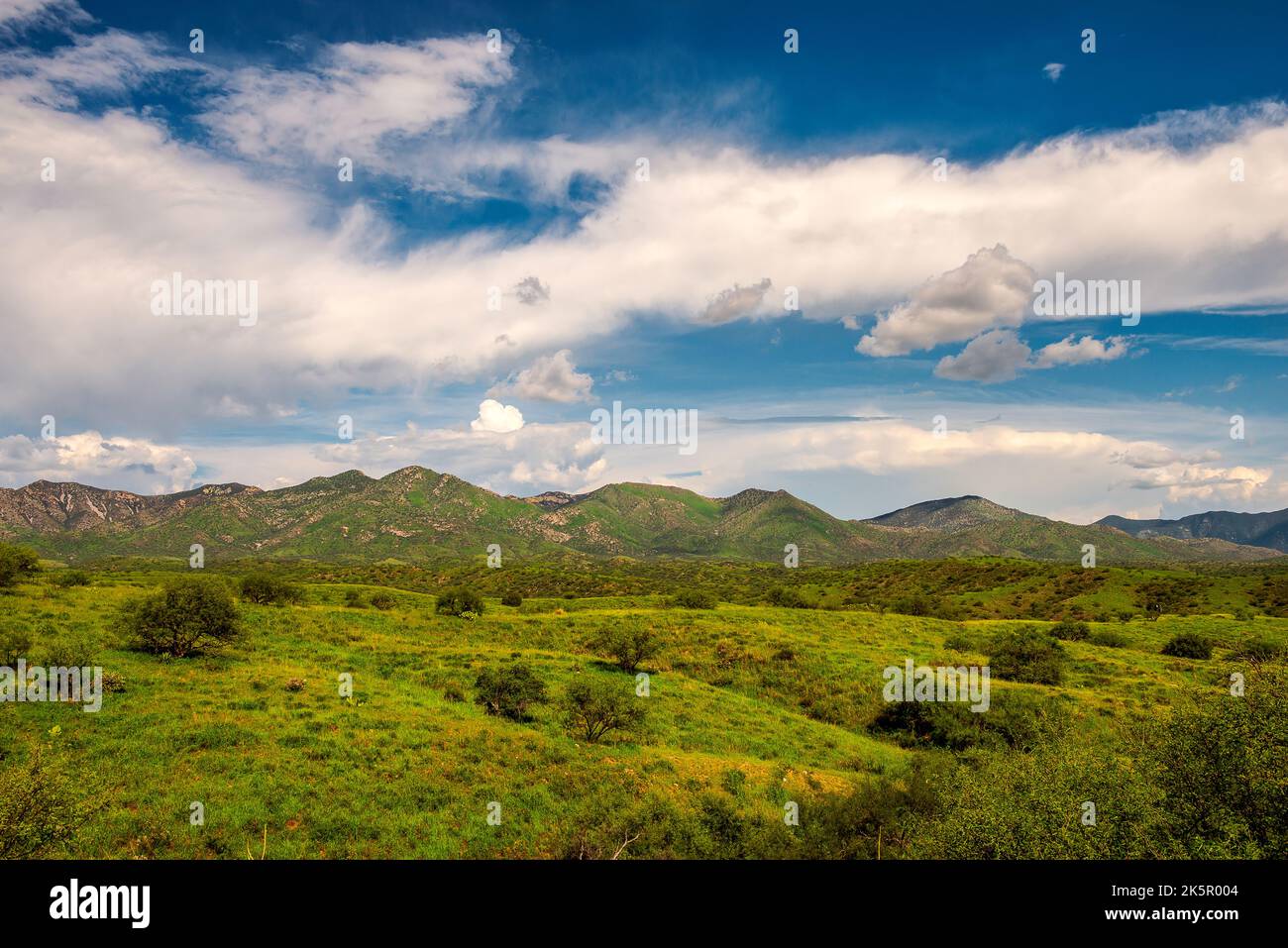 Landschaft Im Süden Arizonas Stockfoto