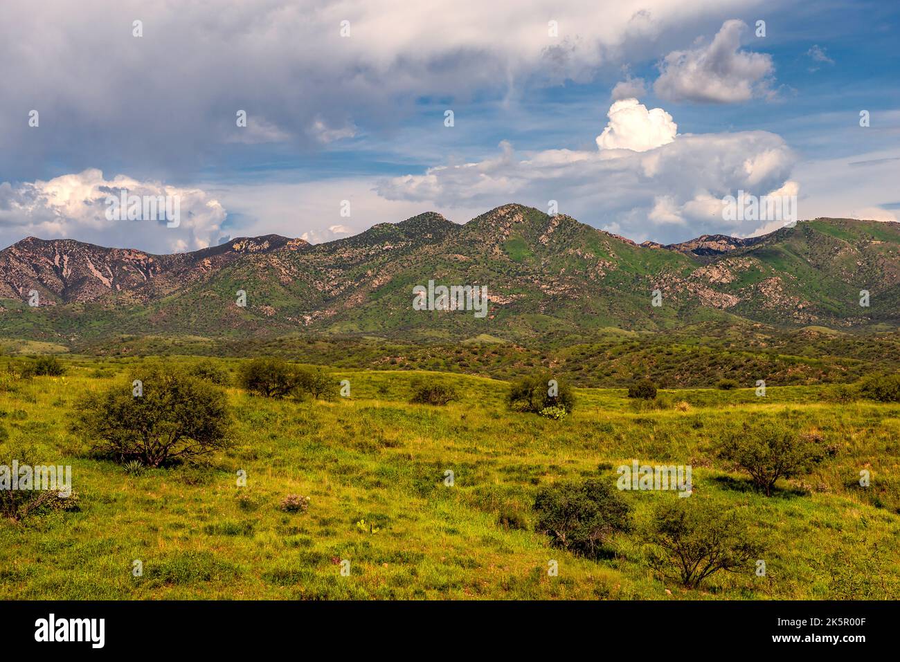 Landschaft Im Süden Arizonas Stockfoto