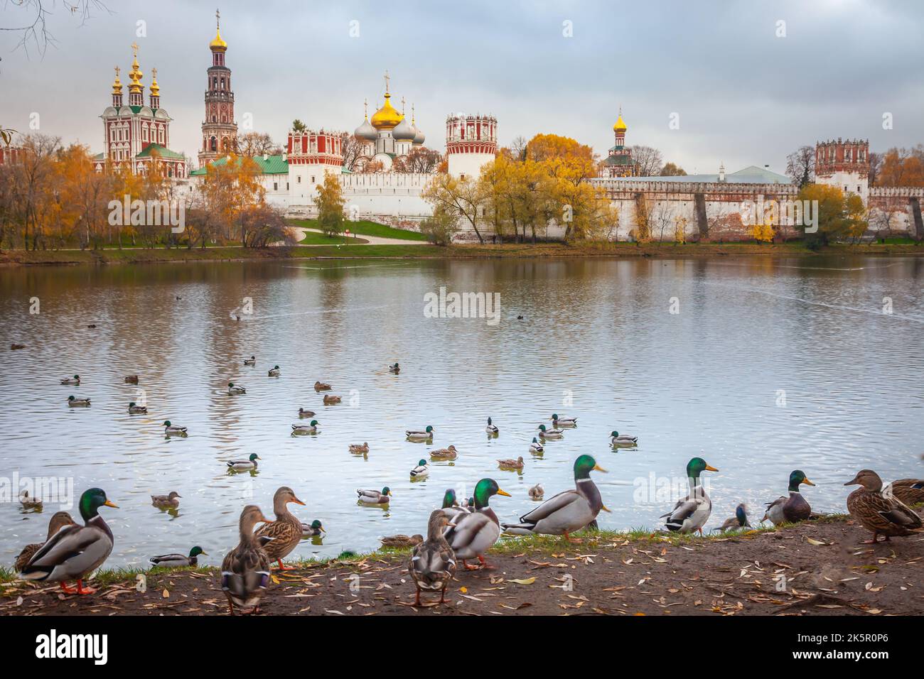 Nowodewitschij Kloster und See in Moskau im Herbst, Russland Stockfoto