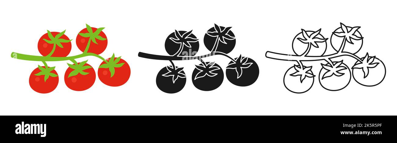 Kirschtomaten Zweig Cartoon linearen Symbol-Set, Doodle-Stil, Gravur Silhouette. Symbol für frisches Tomatengemüse, Bio-Design für gesunde Lebensmittel. Ernte landwirtschaftliche vegetarische Küche, Bauernhof Vektor Stock Vektor