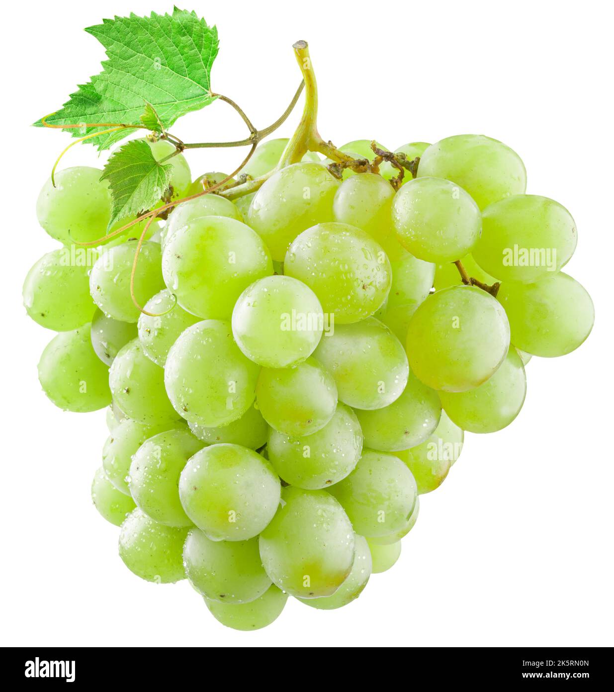 Trauben aus grünen (gelben) Trauben mit einem Traubenblatt, isoliert auf weißem Hintergrund. Es gibt einen Beschneidungspfad. Stockfoto