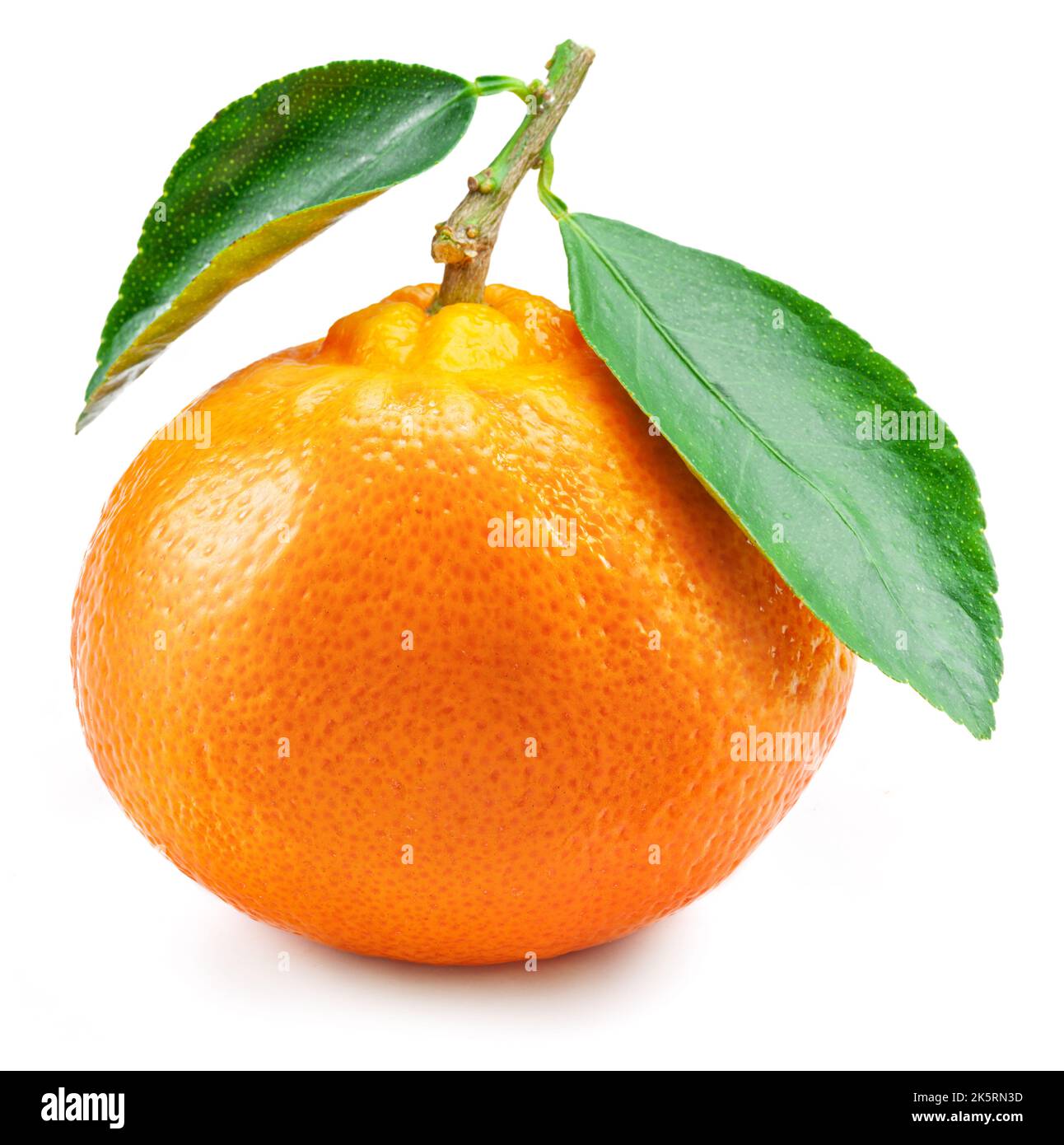 Reife Mandarinenfrucht mit grünen Blättern isoliert auf weißem Hintergrund. Bio-Mandarinen Früchte. Stockfoto