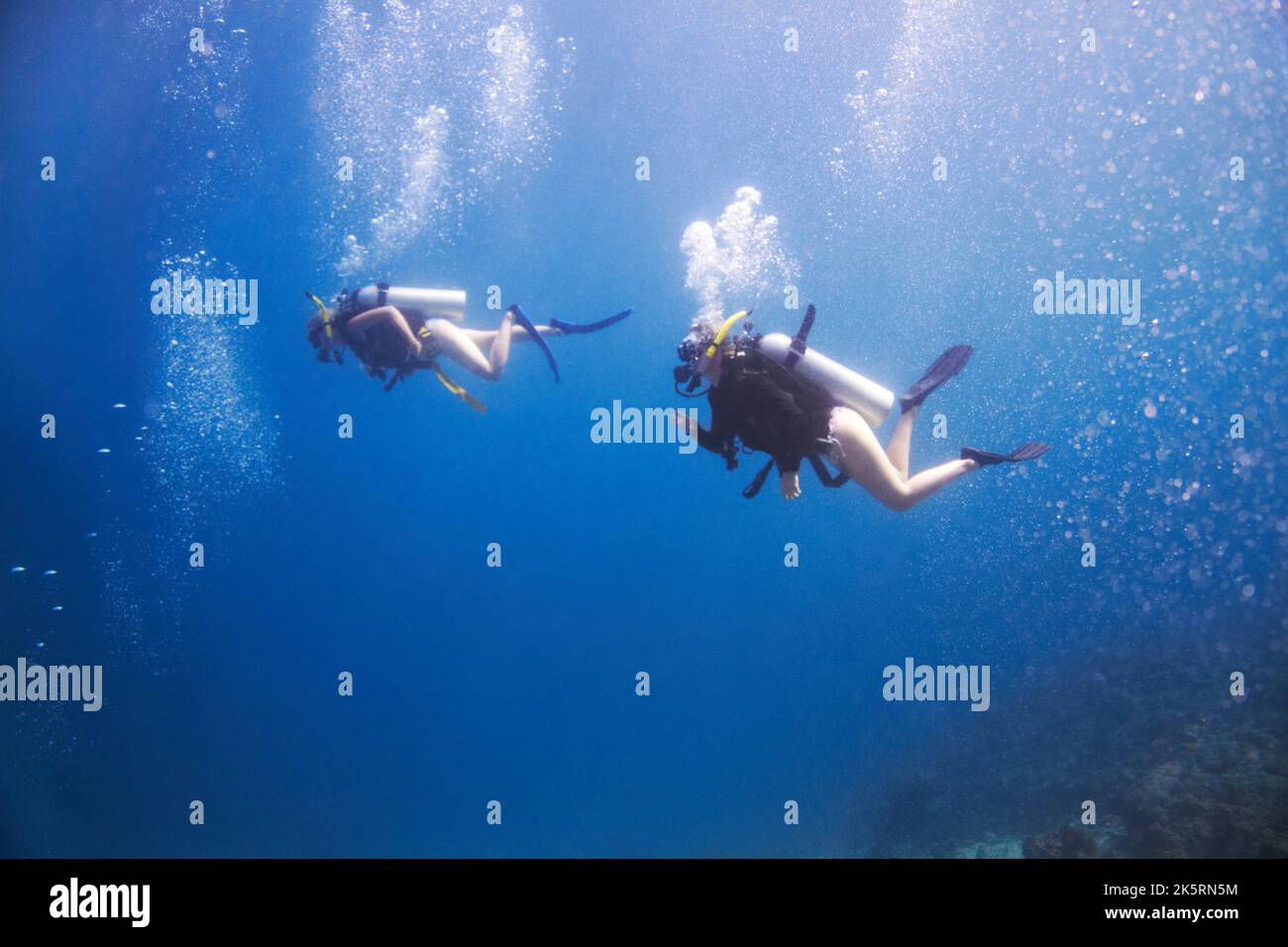 Tief in das tiefe Blau getaucht. Zwei Taucher schwimmen friedlich im tiefblauen Ozean mit Blasen um sie herum. Stockfoto