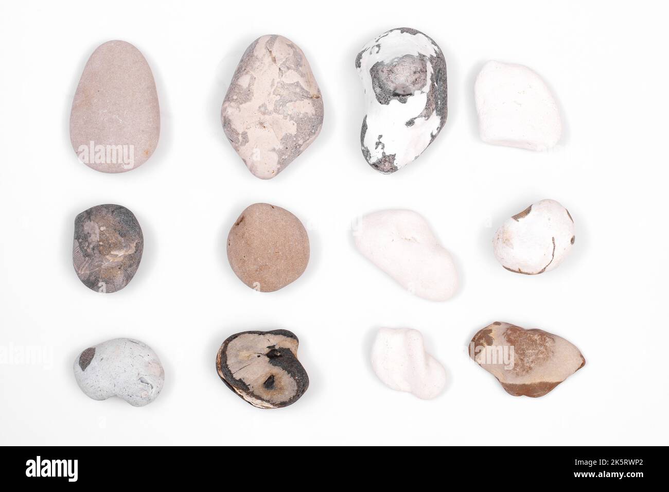 Wunderschöne Kiesel und Felsen am Strand, die auf weißem Hintergrund liegen. Gesprenkelte, braune, weiße und gemusterte Natursteine Stockfoto