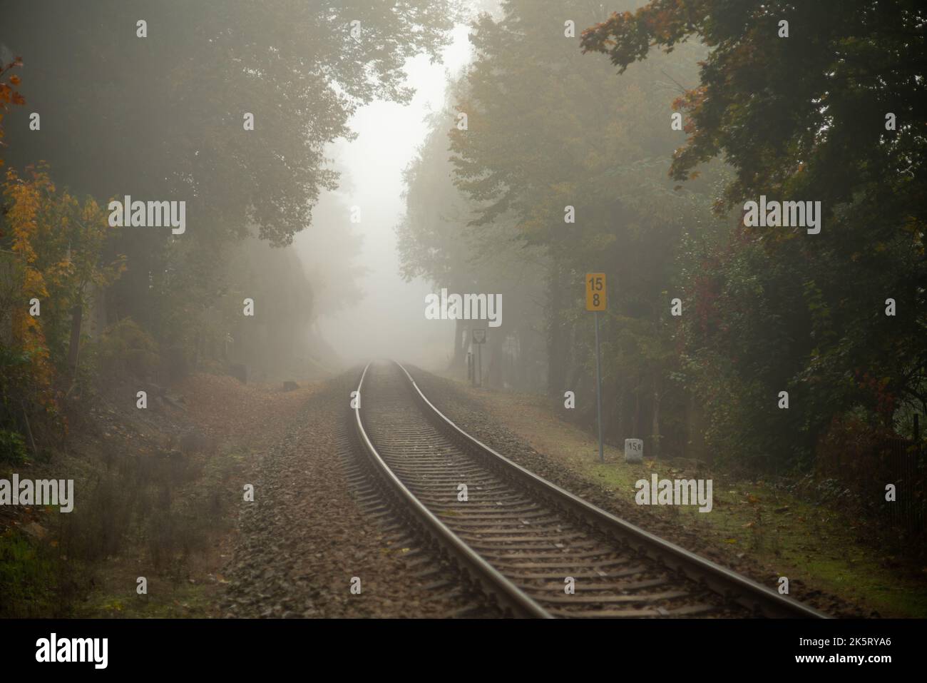 Die tschechische Regionalbahn Linie 210 ('Posázavský pacifik') führt im Morgennebel mit Bäumen und Schildern herum. Stockfoto