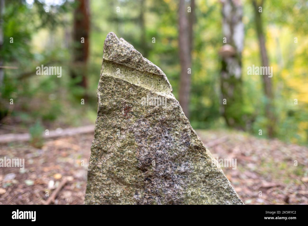 Nahansicht eines Stückes Granodiorit mit Bohrloch, verschwommener Waldhintergrund. Überbleib von Granitabbrüchen in Požáry (Hornopožárský les), Tschechien. Stockfoto