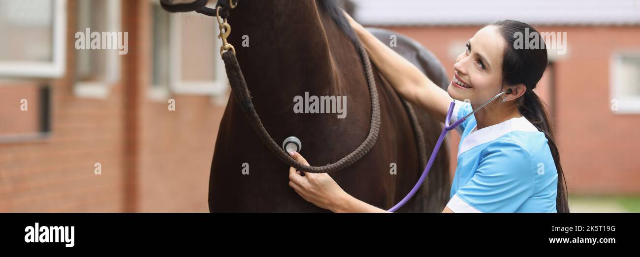 Frau Tierärztin hört mit Stethoskop auf Herzschlag des Pferdes Stockfoto