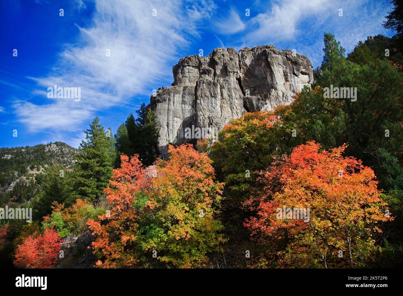 Dies ist ein Blick auf die Herbstfarben entlang der Logan Canyon Scenic Byway in Logan Canyon, nordöstlich von Logan, Cache County, Utah, USA. Stockfoto