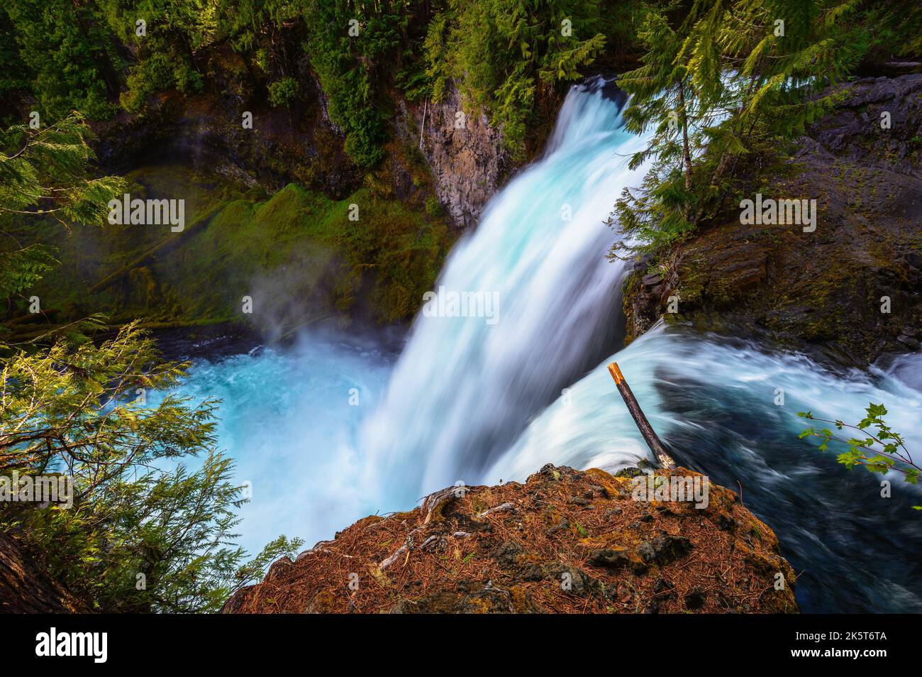 Sahalie Falls am McKenzie River im Willamette National Forest, Oregon Stockfoto
