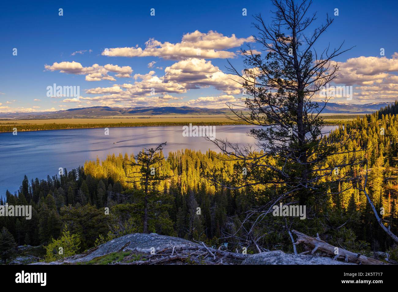 Blick auf den Jenny Lake im Grand Teton National Park, Wyoming Stockfoto