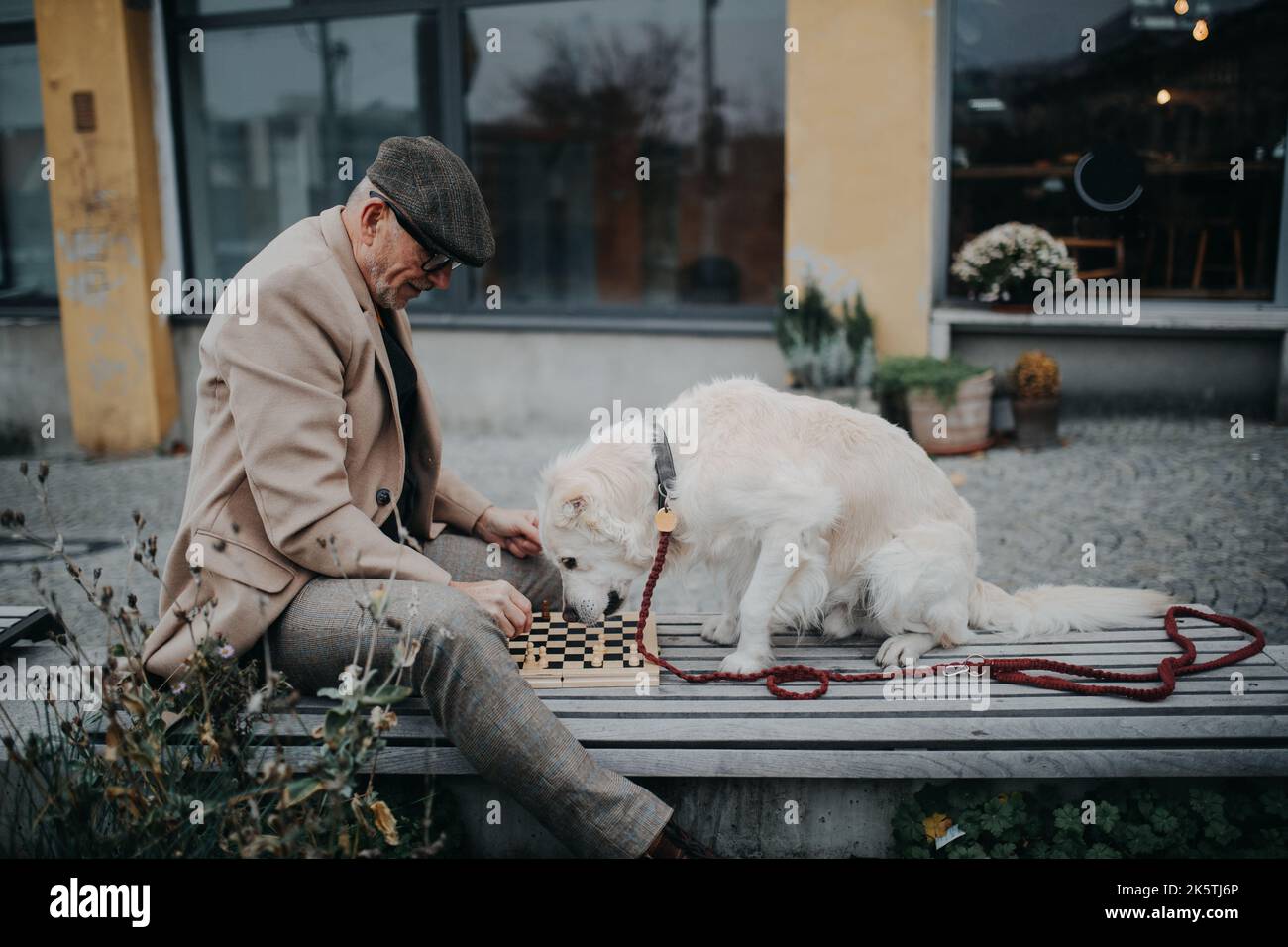 Älterer Mann, der mit seinem Hund auf der Bank sitzt und Schach spielt. Stockfoto