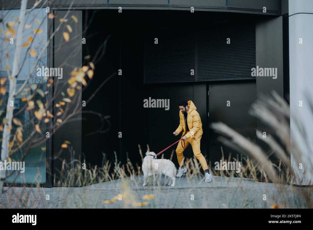 Glücklicher junger Mann, der während des Herbsttages seinen Hund im Freien in der Stadt herumläuft. Stockfoto